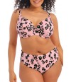 bikini-conjunto-elomi-animal-print-rosa-pink-tallas-grandes-kambuku