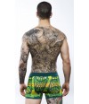 Boxer buhos Discover Underwear Verde